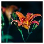 Phoebe Wyatt - @phoebewyatt73 - Instagram