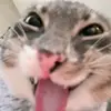 Archer Phoenix - @archer.phoenix - TikTok