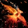 🔥❤️Phoenix❤️🔥 - @phoenixarcher17 - TikTok