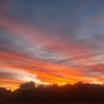Phoenix Day - @phoenix_d11 - Instagram