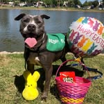 Phoenix Day Fosters - MCACC - @dayfosters.phx - Instagram