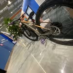 Phoenix Harrison - @pho3nix.4 - Instagram