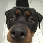 Phoenix Harrison - @ydbjgjghn - Instagram