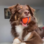 Phoenix Jordan - @moosetrax.n.phoenix - Instagram
