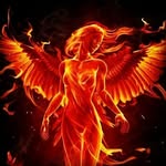 🔥ققنوس🔥 - @phoenix.light.ghoghnoos - Instagram