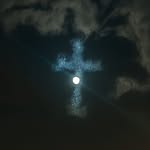 phoenix_1 - @phoenix_littlelight1 - Instagram