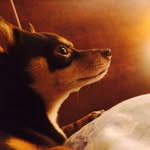 Phoenix Martinez - @doc_cthelegend27 - Instagram