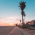 Phoenix_Robertson - @phoenix_robertson780 - Instagram