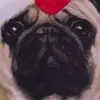phoenixroberts523 - @phoenixroberts523 - TikTok