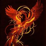 Phoenix Roy - Facebook