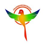 Phoenix Roy - @rainbowchicken01 - Instagram
