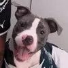 phoenixsalazar - @phoenixsalazar05 - TikTok