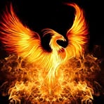 Phoenix Steele - Facebook