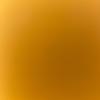 Phoenix steele - @phoenix.steele__ - TikTok