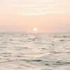 Phoenix Thomas - @phoenix_thomas - TikTok