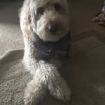 Phoenix Thomas - @mydoodlephoenix - Instagram