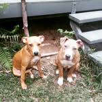 phoenix thomas - @poop_some_jam2 - Instagram