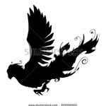 Phoenix - @phoenix_thomson_priv - Instagram