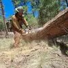 Phoenix Torres - @phoenix.torres27 - TikTok