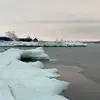 Phoenix Wang - @phoenix.wang.2020 - TikTok