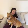 Phoenix Wang - @phoenixwang2 - TikTok