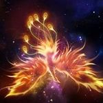 Phoenix Wang - @phoinix.wang - Instagram