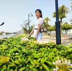 Phoenix Wang - Facebook