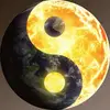 Phoenix Wang - @phoenix.wang25 - TikTok