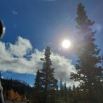 Phoenix Wolf - Facebook