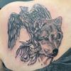 PhoenixWolf #💯LOYALTYFAMILY💯 - @phoenixwolf37 - TikTok