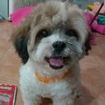 Phoenix Wong - @phoenix_sabang - Instagram