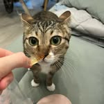 Phoenix Wong - @phoenixwwy - Instagram