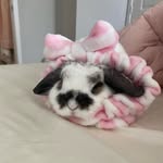 Phoenix Wong - @floppyphoenix - Instagram