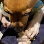 Phúc Vu - @pvu_106 - Instagram
