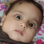 Jagdish Prasad Phulwari - @jagdishprasadphulwari - Instagram