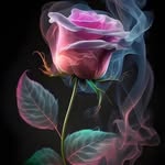 Phuleswar Prasad - @prasadphuleswar - Instagram