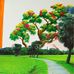 Phung Cao - Facebook