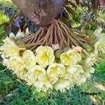 Phùng Điệp - @diep8817 - Instagram