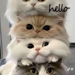 Phùng Diệp - @diep4675 - Instagram