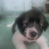 Võ Phụng - @phungvo0906 - TikTok