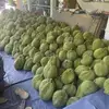 Phuoc Van - @phuoc.van781 - TikTok