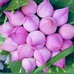 Phuoc Văn - @phuocvan181 - Instagram