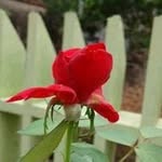 Văn Phước - @phuoc.van.779642 - Instagram