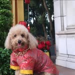Phuong Mach - @mach3386 - Instagram