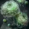 Phuong Mach - @phuong.mach - TikTok