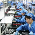 Cung Ứng Phượng Hoàng - Facebook