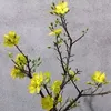 Phuong Ung - @31808967353 - TikTok