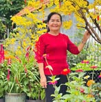 Phuong Ung - Facebook