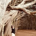 Ung Phượng - @phuong.ung.54 - Instagram