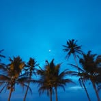 Vaji Richardson - Facebook